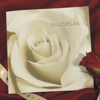 Pack of 25 Abundance Wedding Invitations
