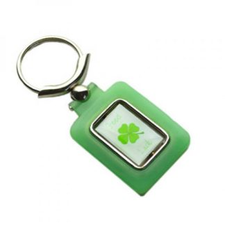 Good Luck Shamrock Spinning Keyring