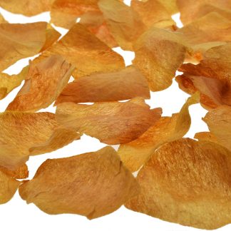 Gold Wedding Petals (Pack of 200) ***NOW 33% OFF REGULAR PRICE***