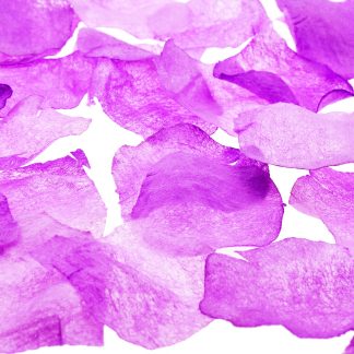Lilac Wedding petals (Pack of 200 ) ***NOW 33% OFF REGULAR PRICE***